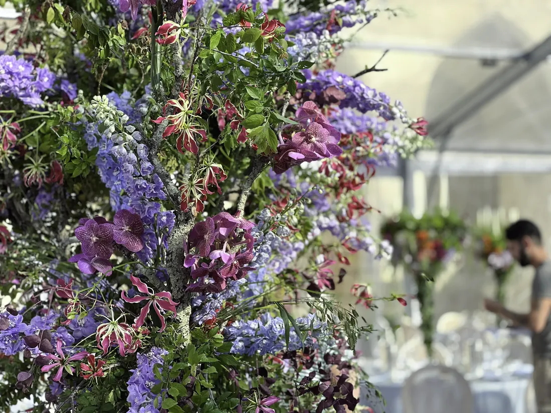 Dettaglio botanico della composizione floreale AIOP al Chiostro dei Domenicani