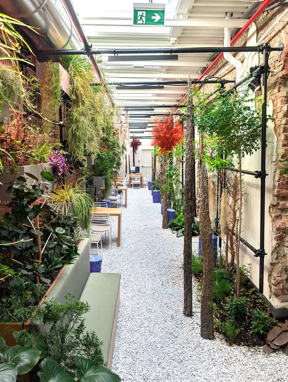 Vista recente del Serendipity Garden con vegetazione matura