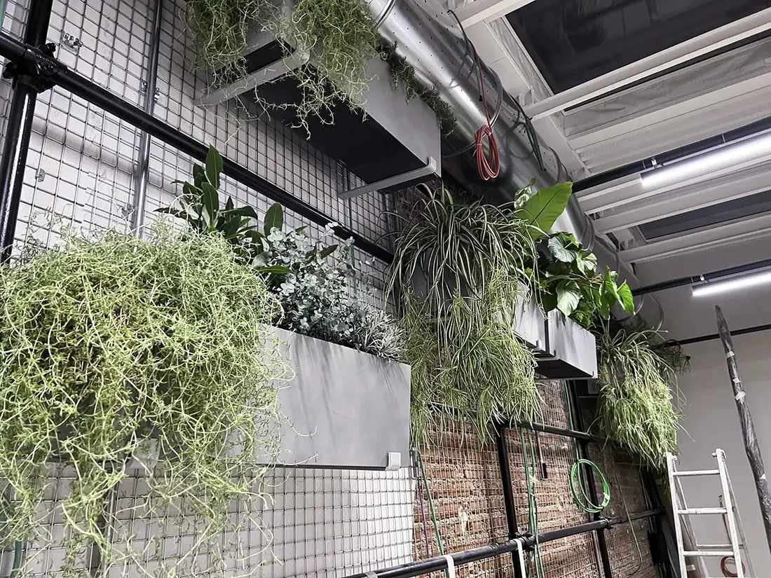 Vasi in microcemento montati sulla struttura verticale del green wall